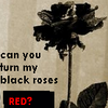 Rozen Avatars 