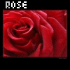Rozen Avatars 