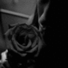 Rozen Avatars 
