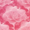 Rozen Avatars 