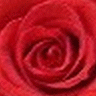 Rozen Avatars 