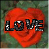 Rozen Avatars 