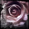 Rozen Avatars 