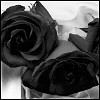 Rozen Avatars 