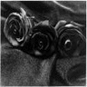 Rozen Avatars 