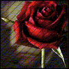 Rozen Avatars 