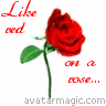 Rozen Avatars 