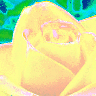 Rozen Avatars 