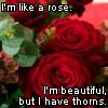 Rozen Avatars 