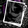 Rozen Avatars 