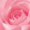 Rozen Avatars 