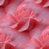 Rozen Avatars 