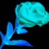 Rozen Avatars 