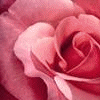 Rozen Avatars 