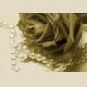 Rozen Avatars 