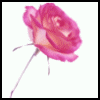 Rozen Avatars 
