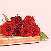 Rozen Avatars 