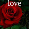 Rozen Avatars 