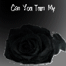 Rozen Avatars 