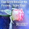Rozen Avatars 