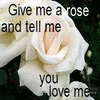 Rozen Avatars 