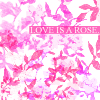 Rozen Avatars 