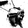 Rozen Avatars 