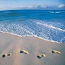 Strand Avatars 