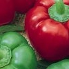 Avatars Voedsel Rode En Groene Paprika