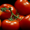 Avatars Voedsel Prachtige Tak Met Rode Tomaten