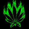 Avatars Weed 