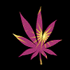 Avatars Weed 