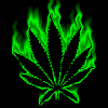 Avatars Weed 