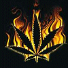 Avatars Weed 