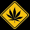 Avatars Weed 