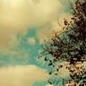 Avatars Wolken 