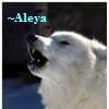 Wolven Avatars 