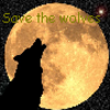 Wolven Avatars 