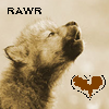 Wolven Avatars 