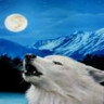 Wolven Avatars 