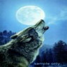 Wolven Avatars 