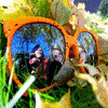 Avatars Zonnebrillen 