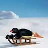 Cartoons Avatars Pingu 