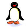 Cartoons Avatars Pingu 