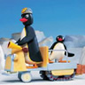 Cartoons Avatars Pingu 