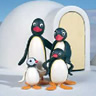 Cartoons Avatars Pingu 