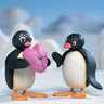 Cartoons Avatars Pingu 