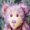 Dieren Beren Avatars 