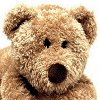 Dieren Beren Avatars 