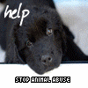 Dieren Avatars Dieren misbruik Stop Animal Abuse Puppy Help